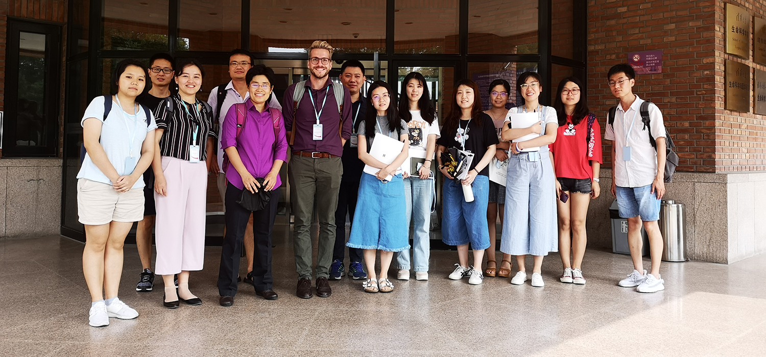 DSM Summer School, Beijing 2019