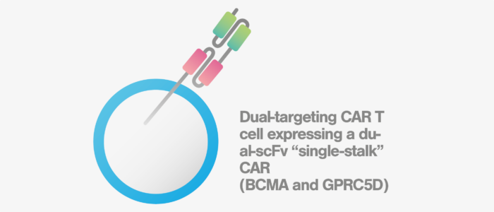 700x300 dual-targeting car t cell single stalk