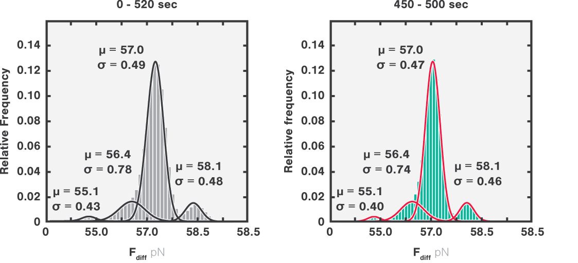 Equilibrium dynamics histograms