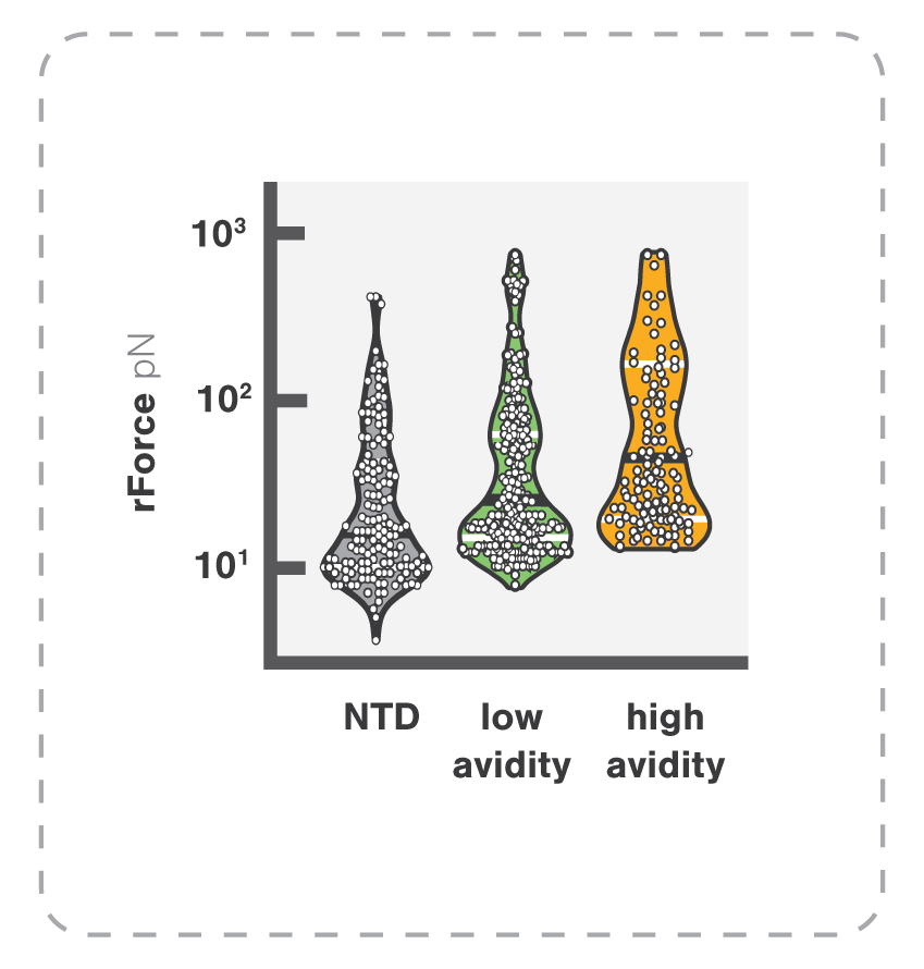 Violin dot plots