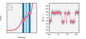 Protein Folding Optical Tweezers Fluorescence Microscopy