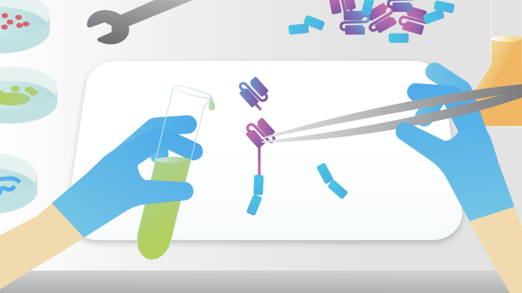 Two gloved hands with tweezers holding the PBTE cell engager for use in a scientific experiment.